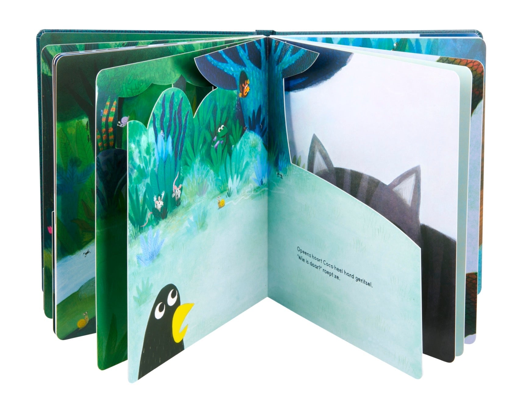 3D Kartonboek - Coco Kijk uit! - Loes Riphagen - BezigeBijtjes