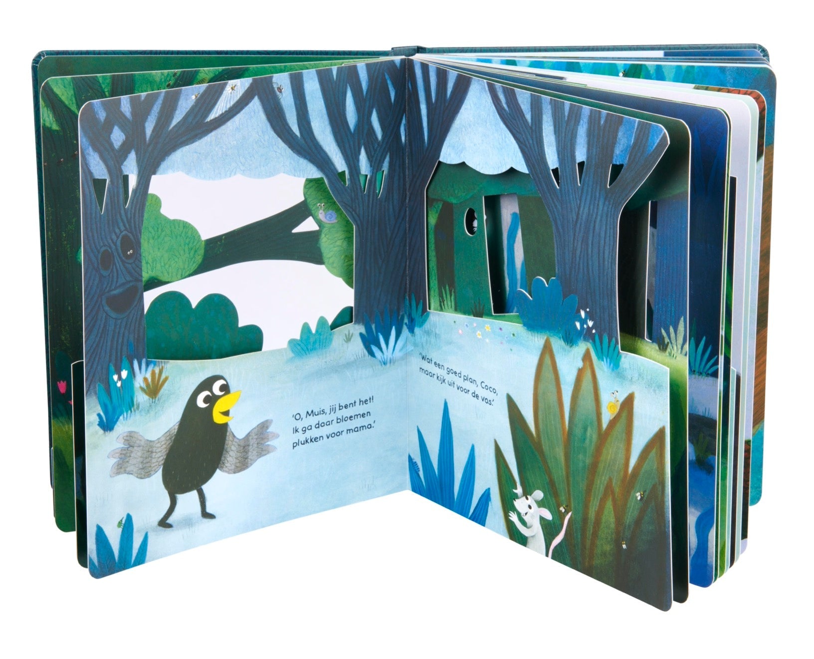 3D Kartonboek - Coco Kijk uit! - Loes Riphagen - BezigeBijtjes