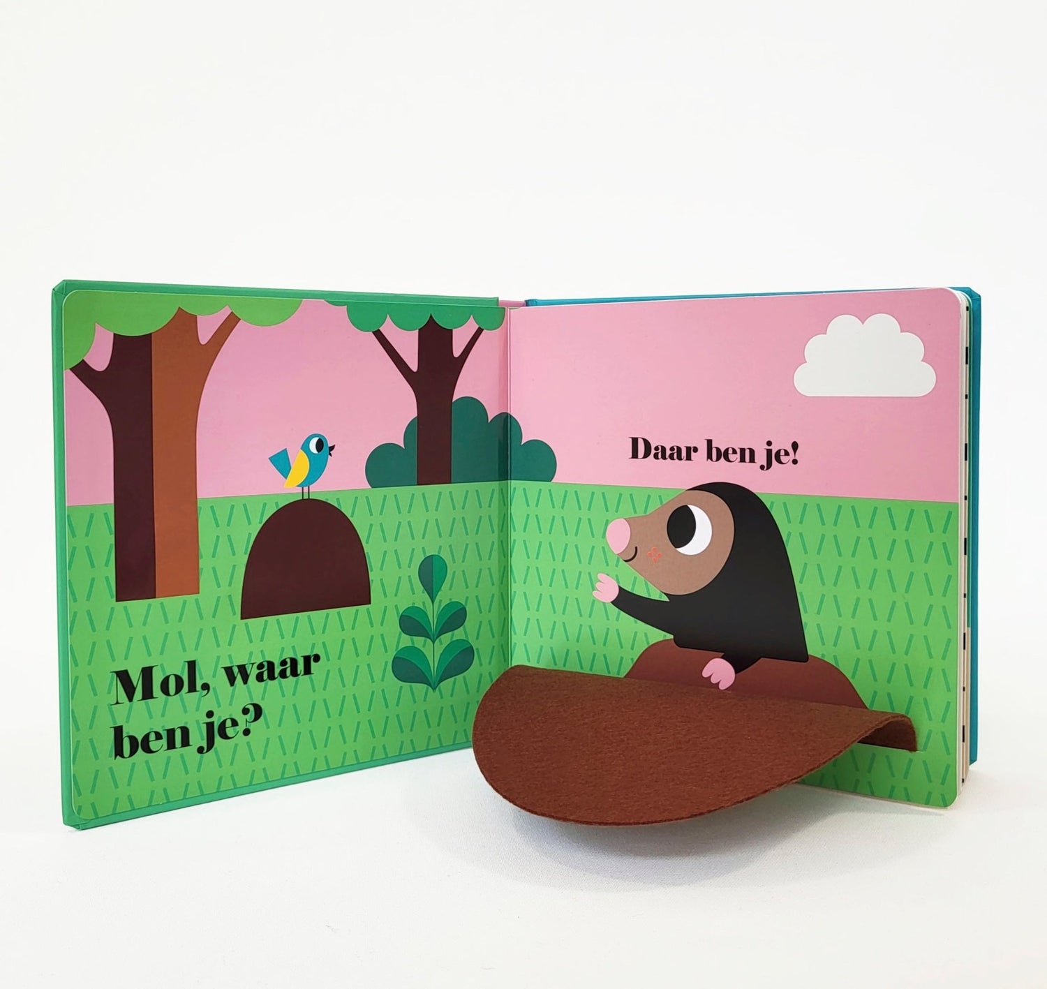 Boek - Waar ben je? - Vos, waar ben je? - Ingela P Arrhenius - BezigeBijtjes