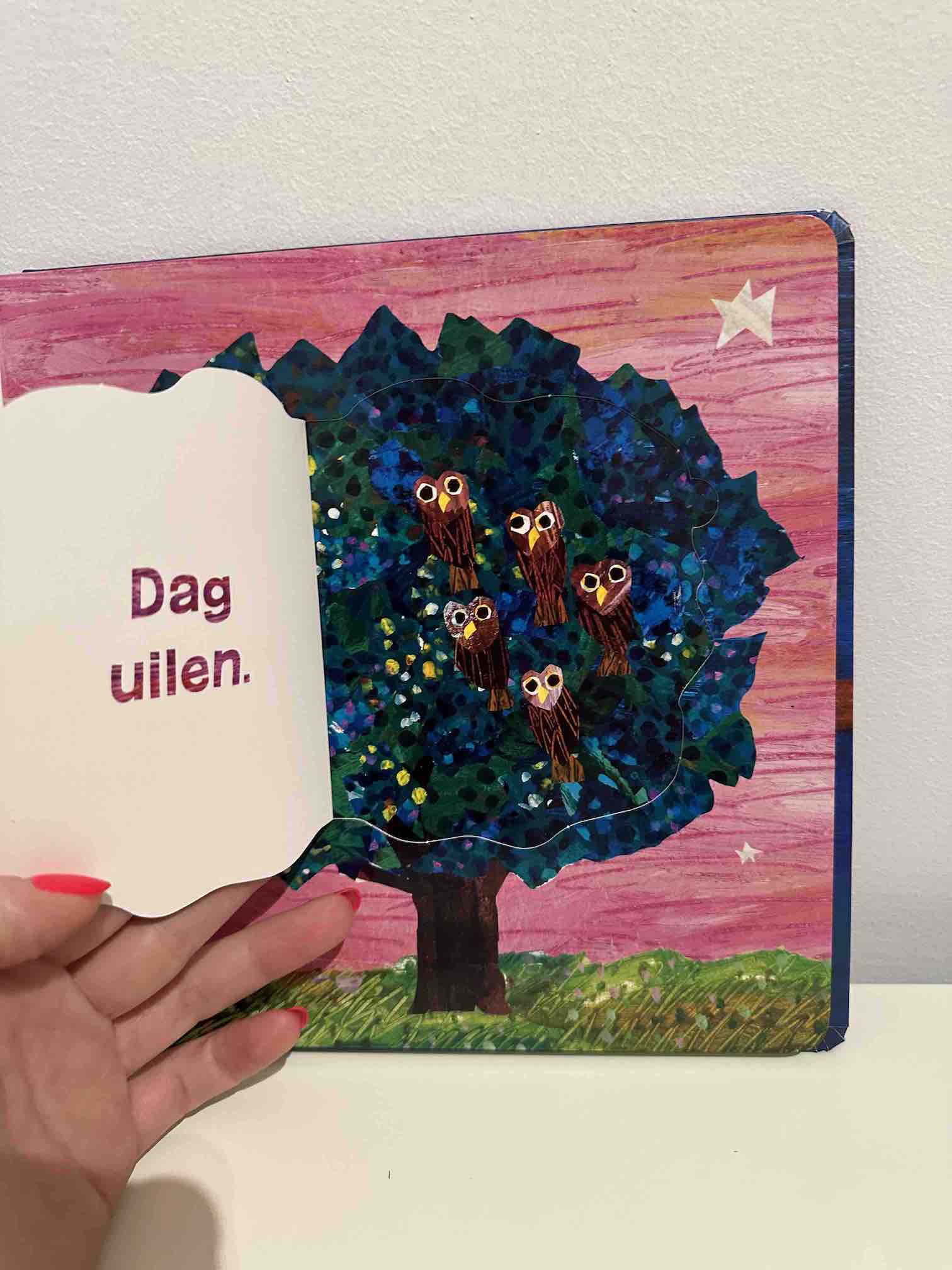 Flapjesboek - Slaap lekker Rupsje Nooitgenoeg - Eric Carle - BezigeBijtjes