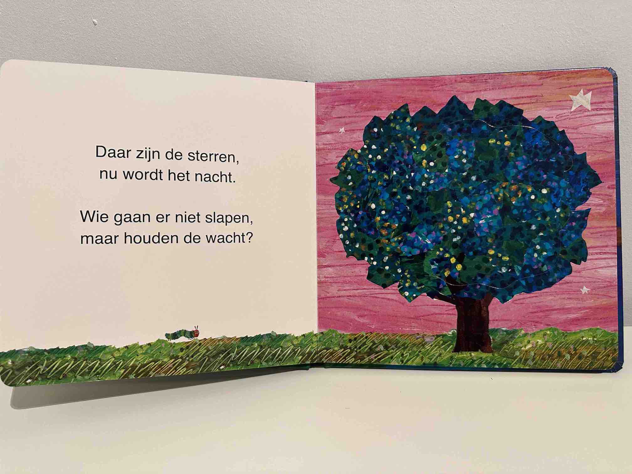 Flapjesboek - Slaap lekker Rupsje Nooitgenoeg - Eric Carle - BezigeBijtjes