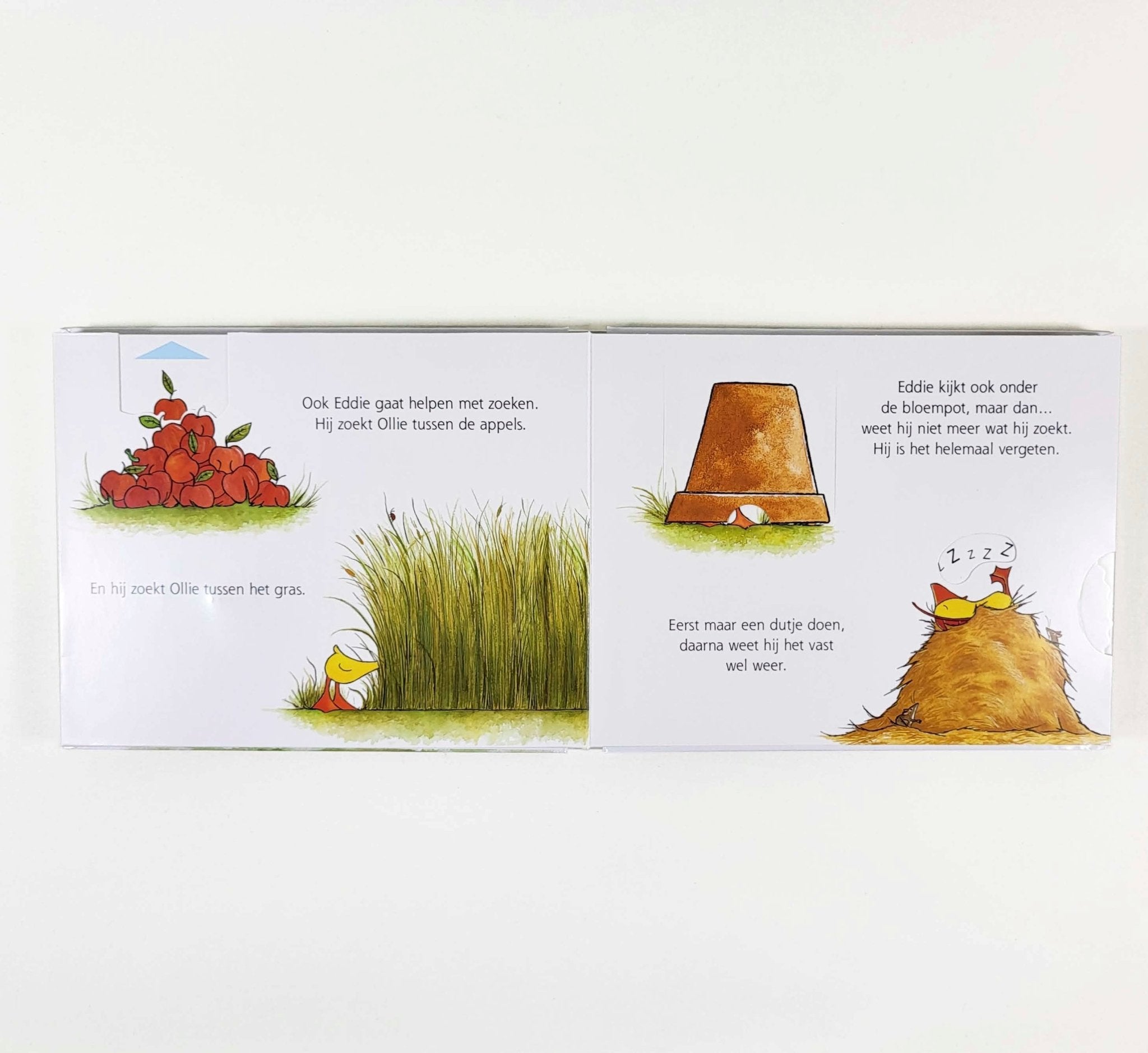 Karton Flapjesboek - Gonnie en Vriendjes Zoek en Vind - Olivier Dunrea - BezigeBijtjes