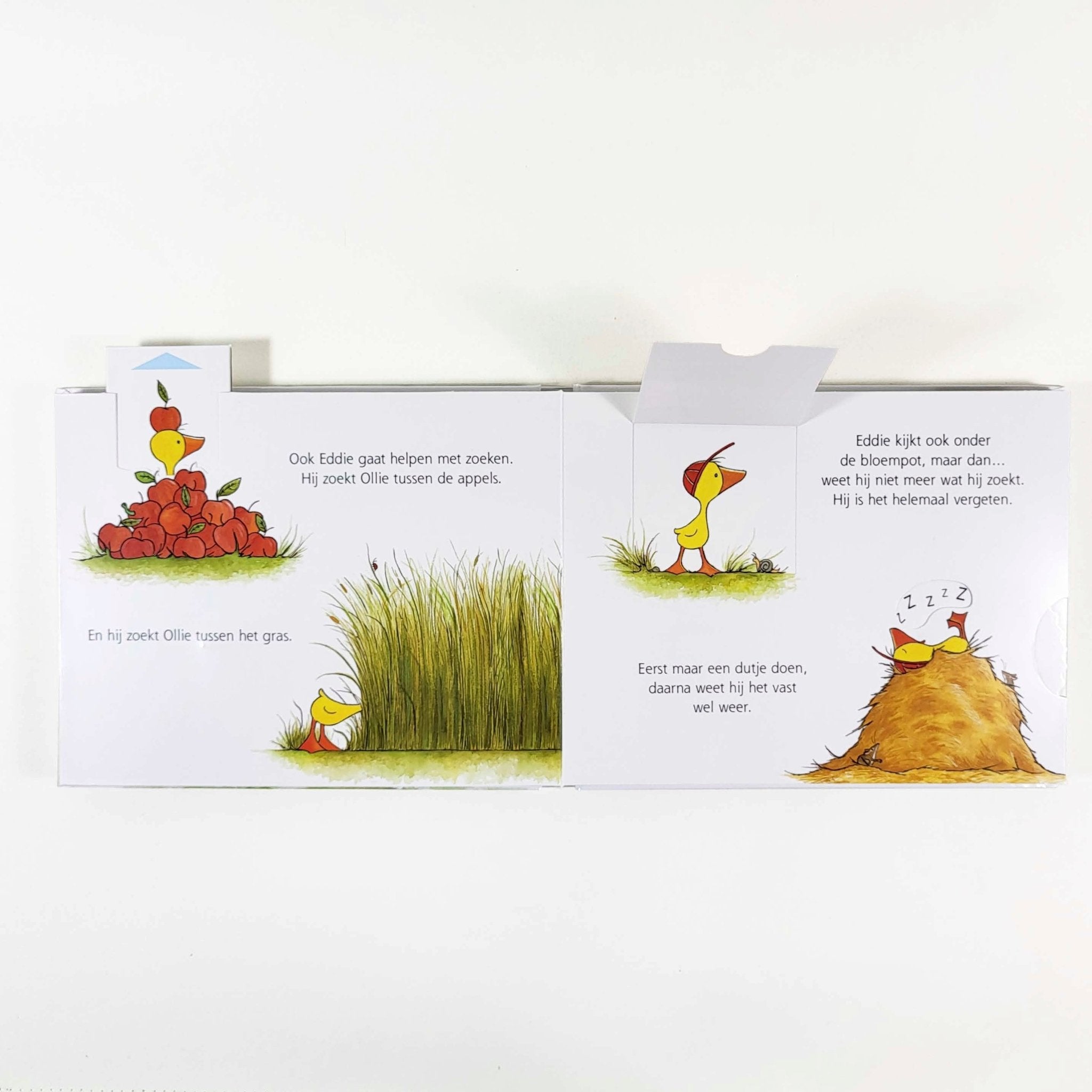Karton Flapjesboek - Gonnie en Vriendjes Zoek en Vind - Olivier Dunrea - BezigeBijtjes