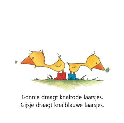KartonBoek met Knuffeltje - Gonnie en Gijsje - Olivier Dunrea - BezigeBijtjes