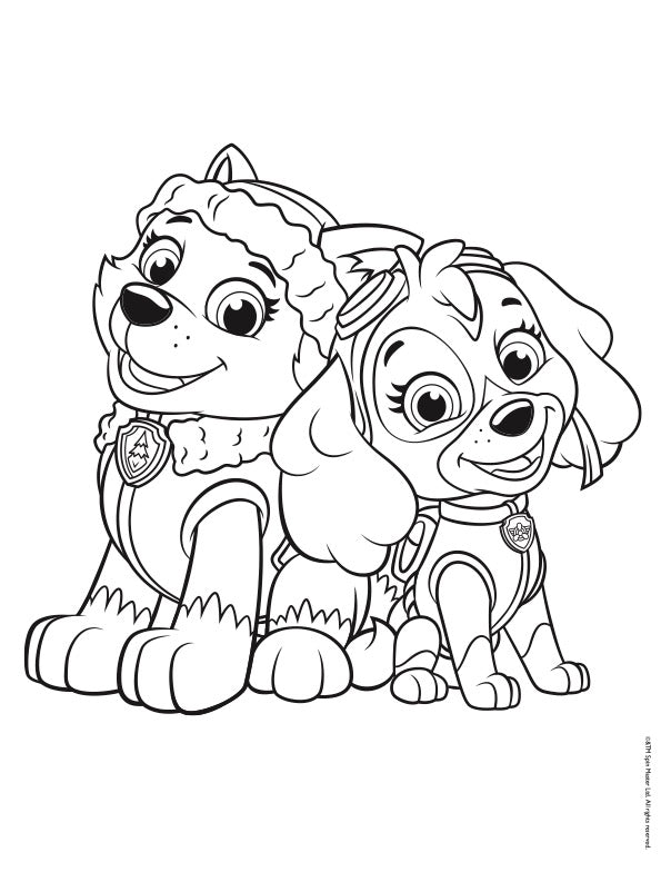 Kleurboek - Paw Patrol - Mijn eerste Paw Patrol Kleurboek - BezigeBijtjes