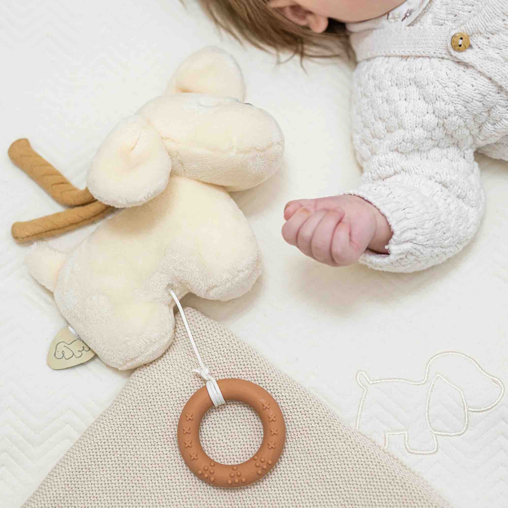 Nattou Muziekdoos Hond Charlie Vanille 20cm - BezigeBijtjes