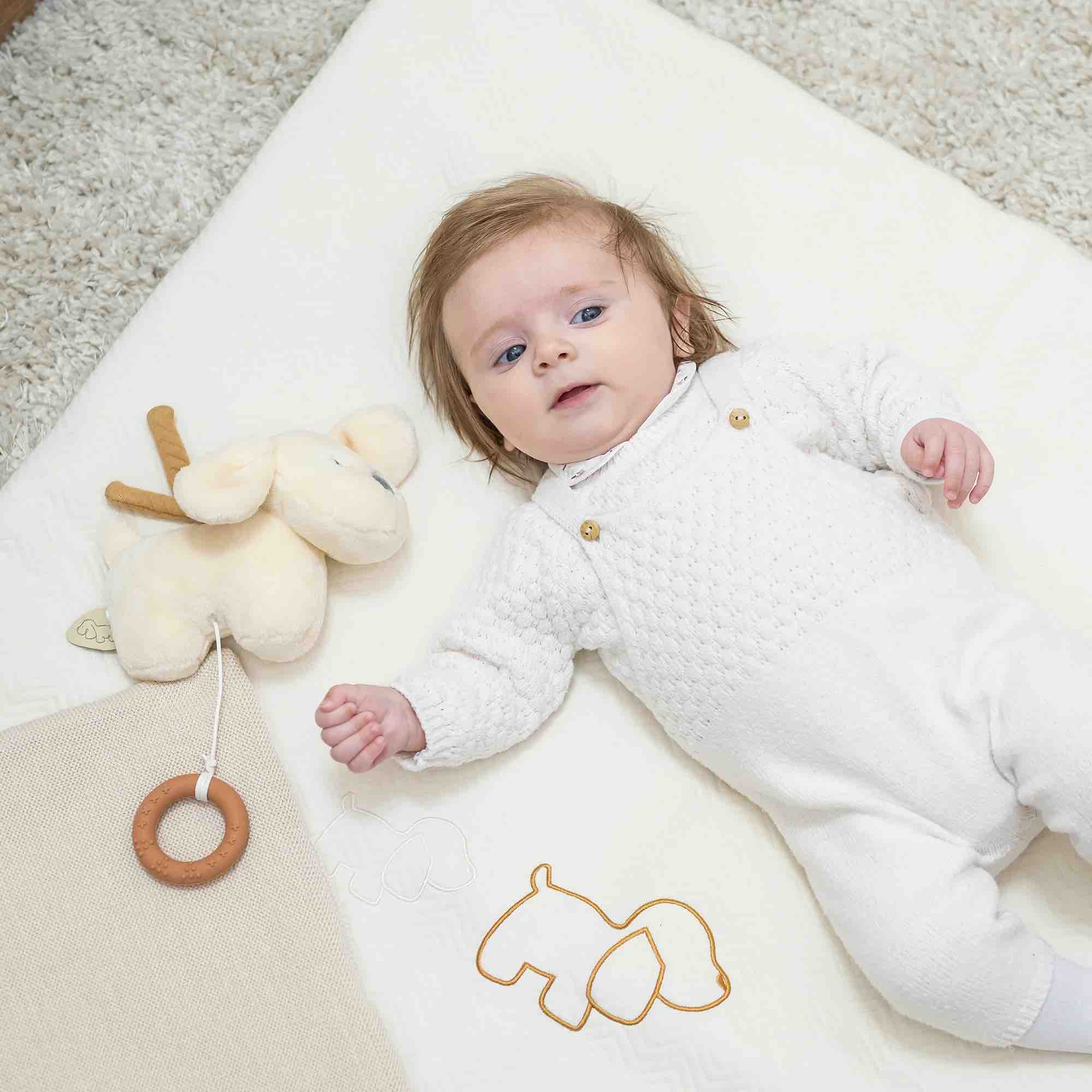 Nattou Muziekdoos Hond Charlie Vanille 20cm - BezigeBijtjes
