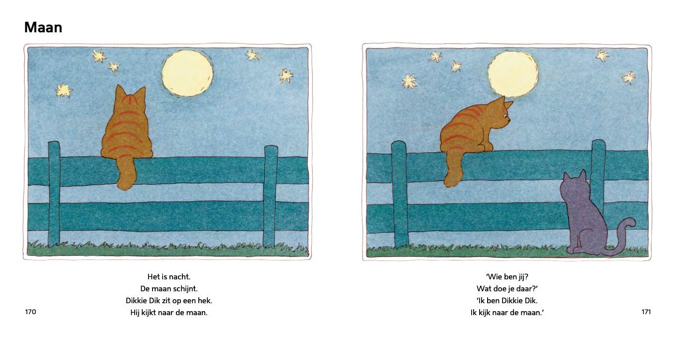 Prentenboek Hardcover - Dikkie Dik - Het Dikke verjaardagsboek van Dikkie Dik - Jet Boeke - BezigeBijtjes