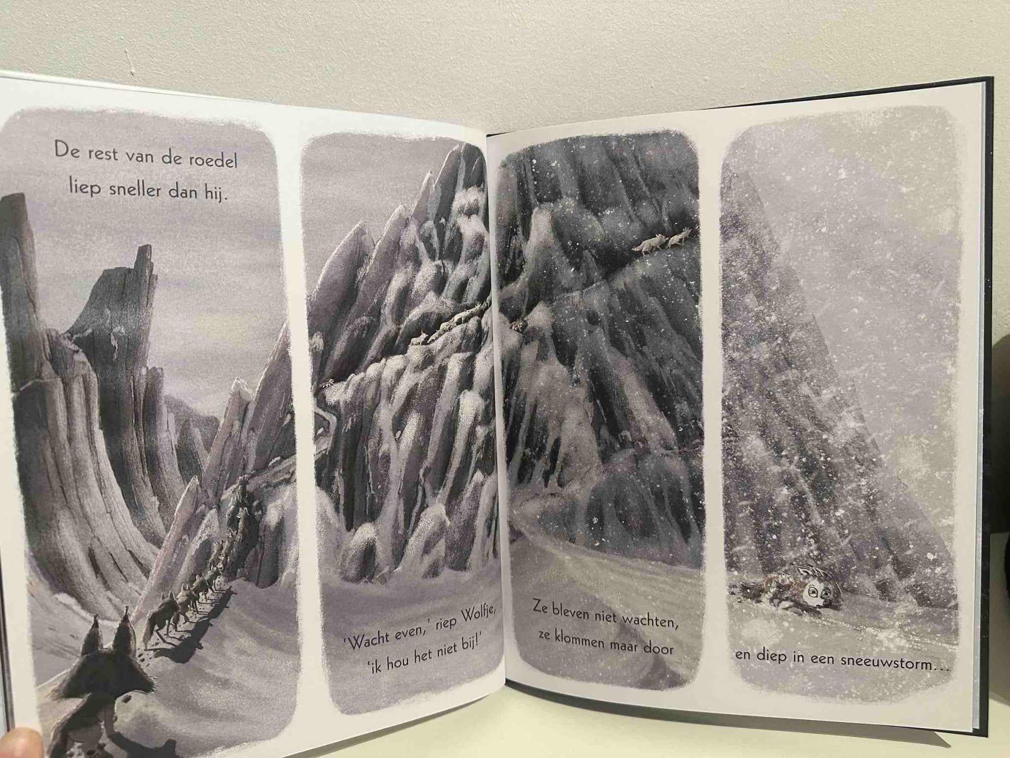 Prentenboek Hardcover - Wolfje wil naar huis - Rachel Bright - BezigeBijtjes