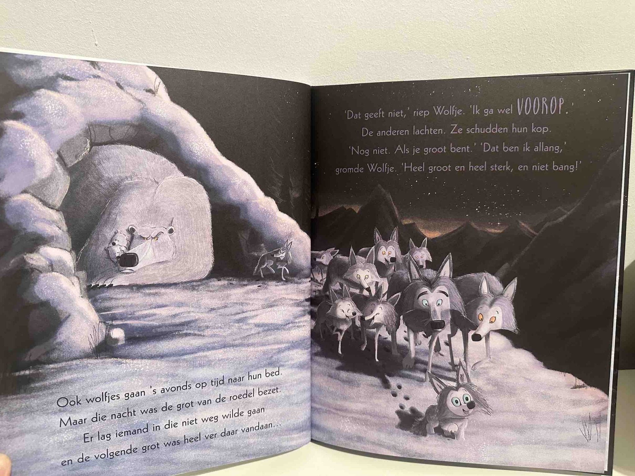 Prentenboek Hardcover - Wolfje wil naar huis - Rachel Bright - BezigeBijtjes