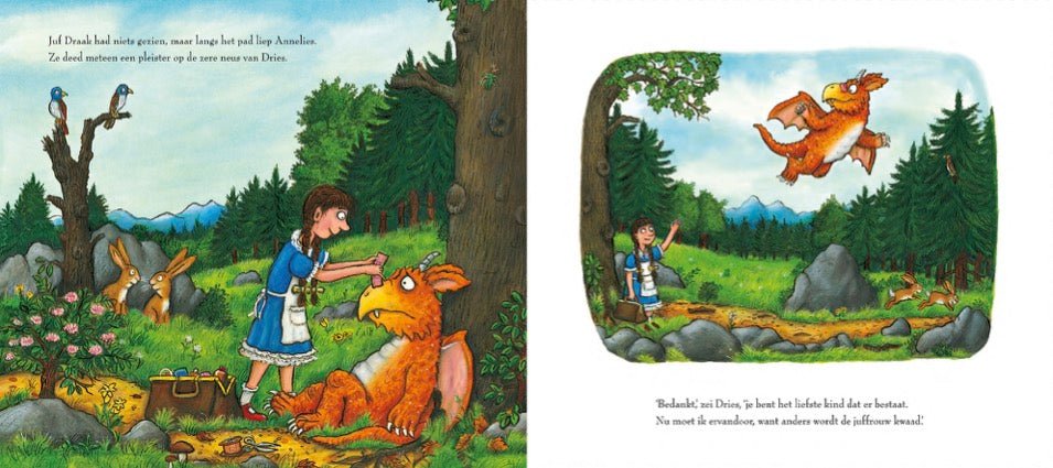 Boek - Draak Dries - Julia Donaldson - BezigeBijtjes