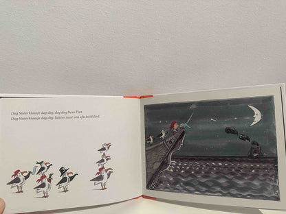 Prentenboek Hardcover - Aadje Piraatje en de stoomboot van Sinterklaas - Marjet Huiberts - BezigeBijtjes
