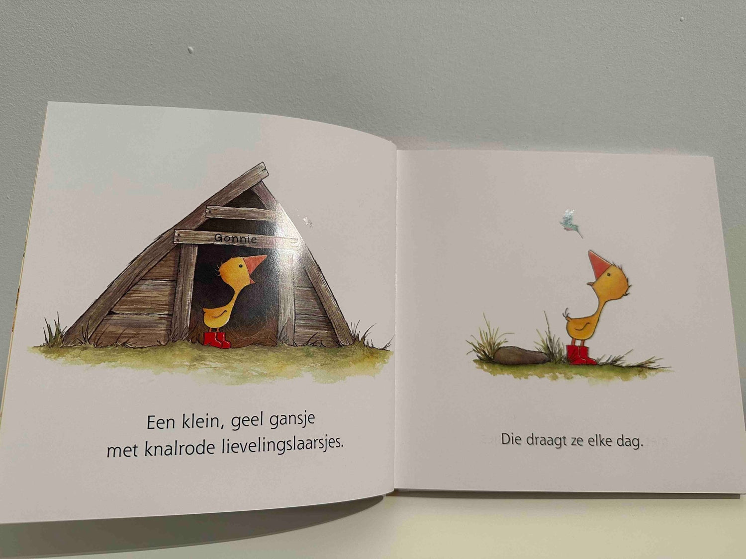 Prentenboek Hardcover - Gonnie en Gijsje en Ollie Natuurlijk! met DVD - Olivier Dunrea - BezigeBijtjes
